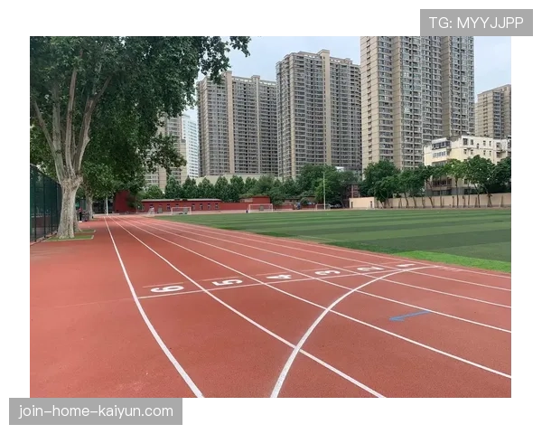 足球场馆短期租赁市场的崛起与监管建议,足球场出租管理app 足球场馆短期租赁市场的崛起与监管建议,足球场出租管理app
